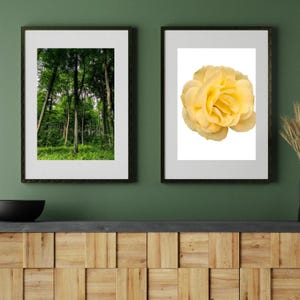 Wald + Rose Poster – Digitales 2er-Set | A1 & US-Formate | Minimalistische Naturmotive zum Ausdrucken für Wohnzimmer, Büro