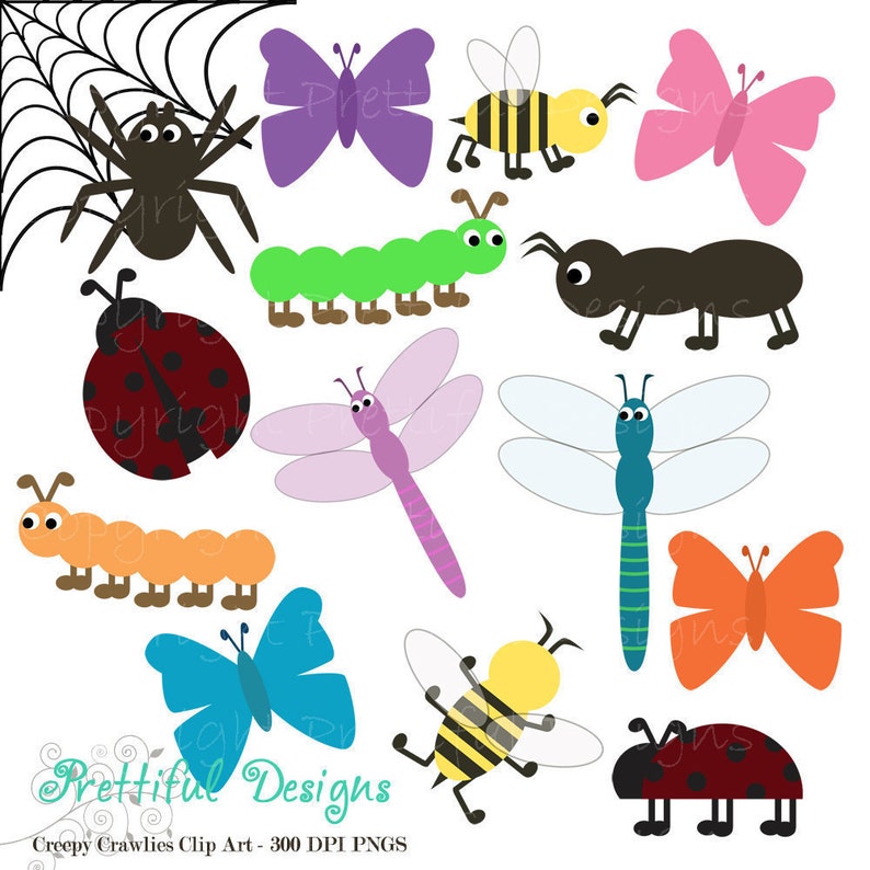 Bug Clip Art for Digital Scrapbooking, Invitations, Paper Goods, Card Making image 1