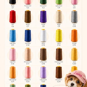 Personalized Dog Hat, Custom Embroidered Pet Cap, Puppy Baseball Hat, Corduroy Dog Visor, Custom Pet Name Hat, Cute Dog Accessories