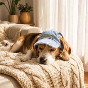 Personalized Dog Hat, Custom Embroidered Pet Cap, Puppy Baseball Hat, Corduroy Dog Visor, Custom Pet Name Hat, Cute Dog Accessories