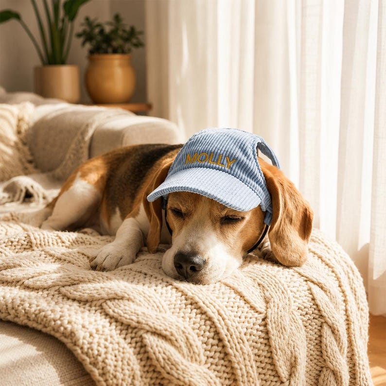 Personalized Dog Hat, Custom Embroidered Pet Cap, Puppy Baseball Hat, Corduroy Dog Visor, Custom Pet Name Hat, Cute Dog Accessories