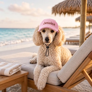 Personalized Dog Hat, Custom Embroidered Pet Cap, Puppy Baseball Hat, Corduroy Dog Visor, Custom Pet Name Hat, Cute Dog Accessories