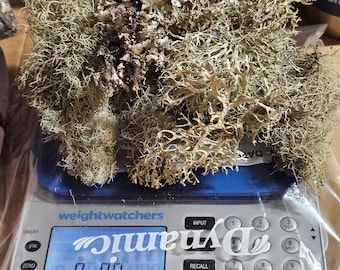 Dried Lichen Mix