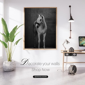 Framed Horse Wall Art Print: Rustic Farmhouse Decor