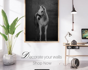 Framed Horse Wall Art Print: Rustic Farmhouse Decor