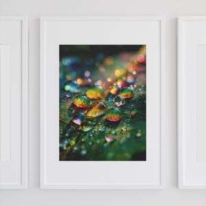 May include: A framed photograph featuring a close-up of water droplets on a green leaf. The droplets are iridescent, reflecting a spectrum of colors including yellow, orange, green, and blue. The image is set against a blurred background.