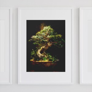 May include: A framed print of a bonsai tree. The tree has a twisted trunk and lush green foliage, set against a dark background. The bonsai is in a brown pot, and the print is in a white frame.