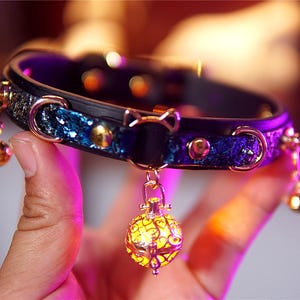 Op de afbeelding: Een zwart-blauwe kattenhalsband met goudkleurige accenten. De halsband heeft een glinsterend blauw gedeelte, goudkleurige belletjes en een decoratieve goudkleurige lantaarnhanger. De halsband wordt door een hand omhoog gehouden.