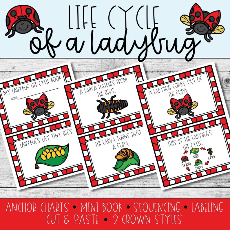 Ladybug Life Cycle Activities for Kindergarten With Mini Book, Hat ...