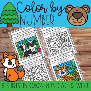 Woodland Animals Color by Number Printable Coloring Pages for Preschool and Kindergarten  Math Activities and Classroom Centers