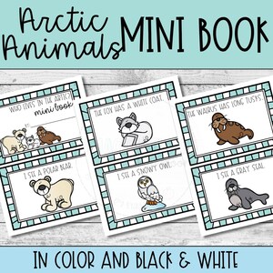 Könnte beinhalten: Eine Reihe von Mini-Büchern mit dem Titel "Arktische Tiere" und dem Text "Mini-Buch" in Türkis. Die Bücher zeigen Illustrationen von arktischen Tieren wie Eisbären, Füchsen und Walrossen, mit schwarzem Text. Der Satz "In Farbe und Schwarz & Weiß" steht unten.