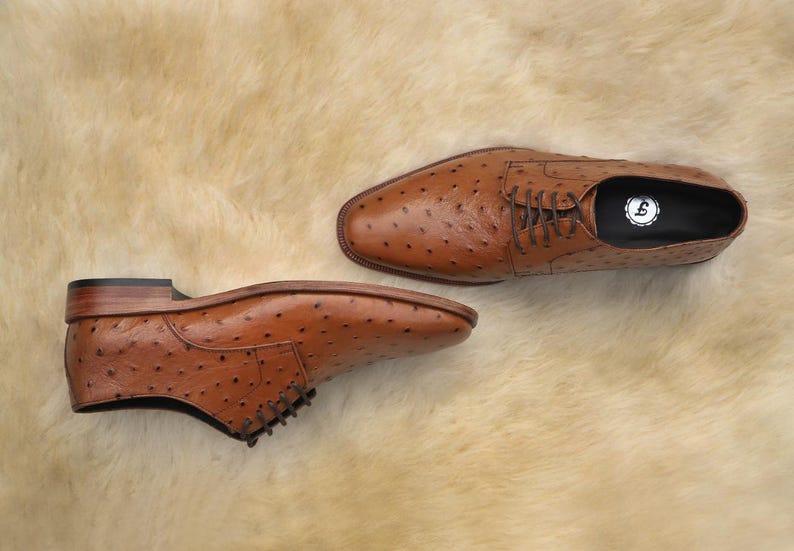May include: A pair of brown leather dress shoes with a textured ostrich pattern. The shoes have a classic lace-up design and a rounded toe. The shoes are displayed on a light brown, textured surface.