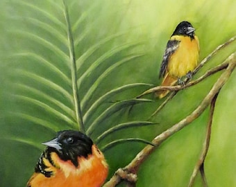 Baltimore Orioles, birds, wildlife, Prints on watercolor art paper of original oil painting