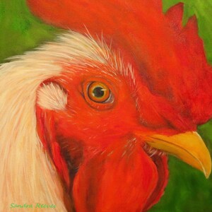 Rooster, chicken, bird, wildlife, animal, farm, Giclée, Canvas print of sold original oil painting