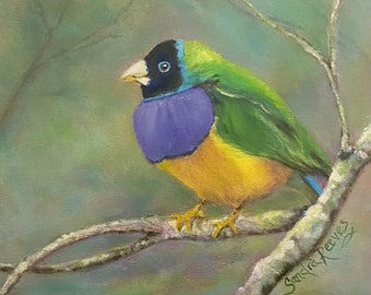 Bird, Gouldian Finch, wildlife, animal, canvas oil painting, Australian