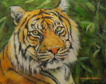 Tiger, cat, wildlife, animal, canvas print of original oil painting