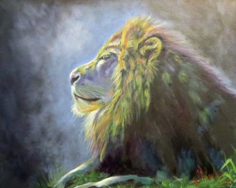 Lion, wildlife, cat, animal, original art, oil painting, impressionism, 11" x 14", black canvas