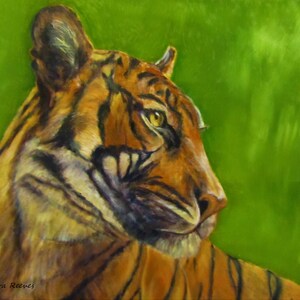 Tiger, cat, animal, wildlife, canvas print of original art oil painting