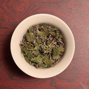 Dried Ground Ivy (Creeping Charlie) – Wildcrafted Herbal Tea & Tincture Herb – Foraged Botanical, Organic and Eco-Friendly