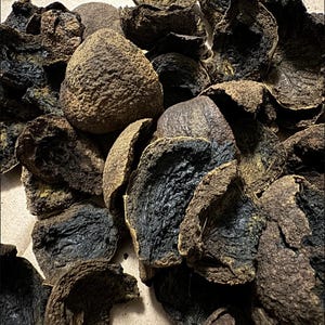 May include: Close-up of a collection of dried, dark brown and black walnut shells. The shells have a rough, textured surface and varying shapes, with some appearing broken or split. The overall color palette is earthy, with shades of brown and black.