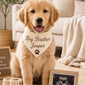 Puede incluir: Un cachorro de golden retriever lleva un pañuelo acolchado de color crema con el texto marrón Big Brother Jasper y una huella. Junto al cachorro hay dos pequeños patucos de punto de color crema y una ecografía enmarcada de un bebé.