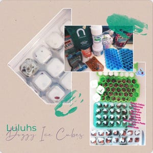 May include: A collage featuring doggy ice cubes and ingredients. The ice cubes are in various trays, some with visible ingredients like cranberries. Ingredients include spirulina powder, kefir, and dried cranberries. The text "Luluhs Doggy Ice Cubes" is visible.