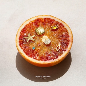 May include: A halved blood orange displays an assortment of gold-coloured seashell and starfish earrings, along with a small turquoise stud. The earrings are arranged on the orange's textured surface. The brand name "BEACH BLOOM JEWELRY" is printed at the bottom.