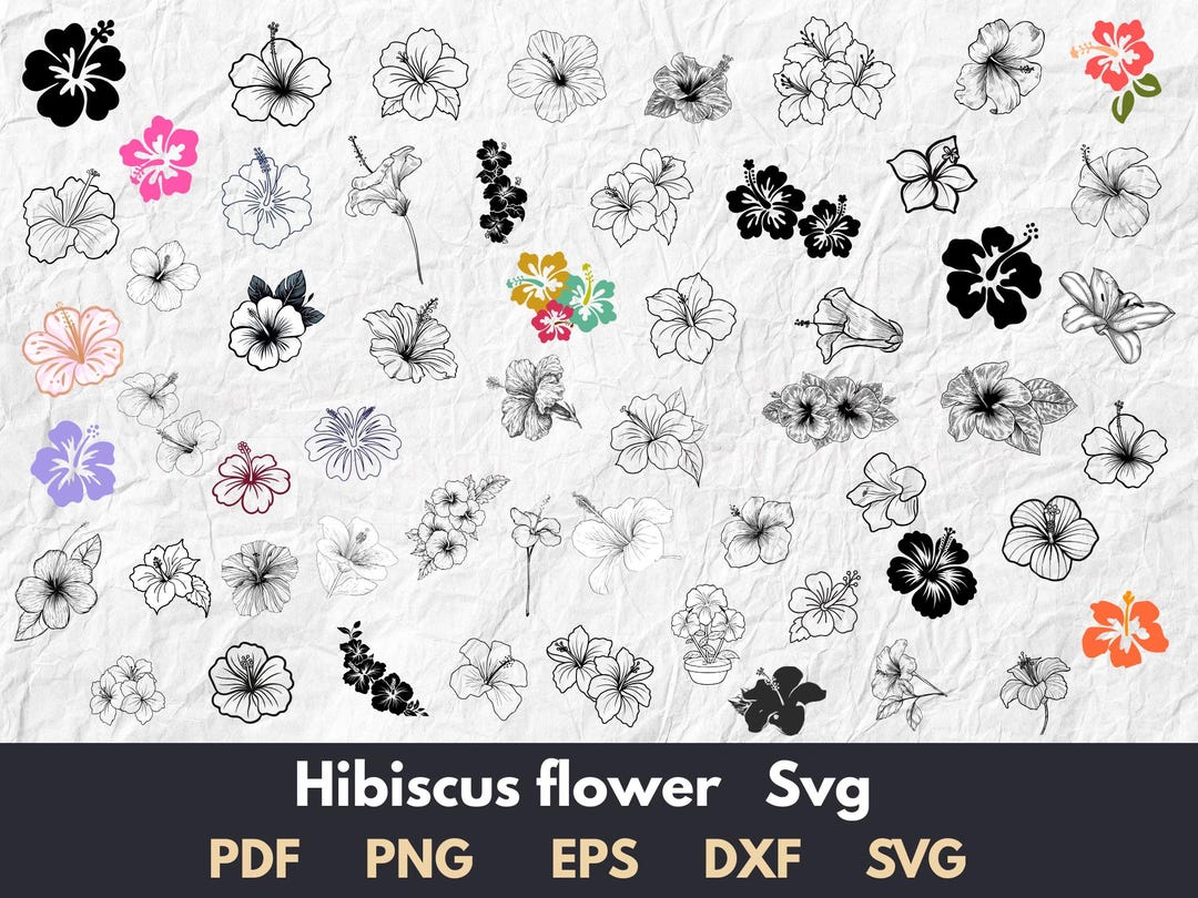 Hibiscus SVG Bundle | Flower Art | Tropical Flower Clipart Digital ...