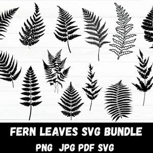 Fern Leaves Svg, Fern Cricut, Fern Svg Bundle, Fern Leaf SVG, Fern Clipart, Boho Svg, Botanical Silhouette, Leaf Silhouette,Instant Download