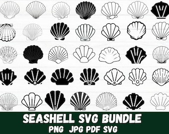 Seashell Svg Bundle - Seashell Png Bundle - Seashell Clipart - Seashell Svg Cut Files - Seashell Silhouette - Sea World Svg - Shell Svg
