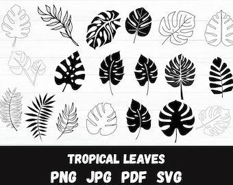 Tropical Leaves Svg, Monstera Clipart, Monstera SVG Bundle Tropical Leaf, Monstera Silhouette Svg, Tropical Leaves Svg files for Cricut