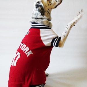 Sporty Jacket, college jacket,Dog jacket,cat jacket,college pet jacket,Dog Winter Outer,Dog Fashion,Pet Clothing,