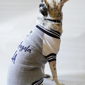 Sporty Jacket,Los Angeles Dog Jacket,wear ,Small Dog Clothes, Dog Winter Outer,Dog Fashion, Dog Apparel, Pet Clothing,dog coat,cat coat