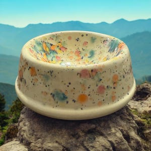 Small Dog or Cat feeding bowl.