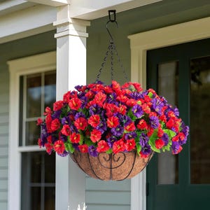 Op de afbeelding: Een hangmand vol levendige rode en paarse bloemen. De bloemen staan in een bruine, decoratieve mand, opgehangen aan een zwarte ketting en haak. De mand hangt buiten een huis.