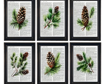 Dictionary Prints, Pinetree Prints, Pinecone Prints, Dictionary Artwork, Botanical Prints, Set of 6 Botanical Prints, Pinetree Wall Art,