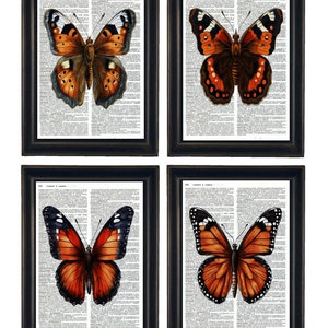 Dictionary Prints, Butterfly Prints, Butterfly Art Prints, Set of 4 Butterfly Prints, Butterfly Dictionary Prints, Set of 4 Butterfly Prints