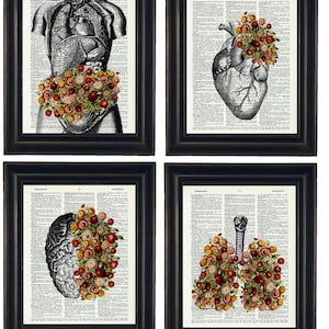 Anatomy Art, Anatomy Illustration with Flowers, Set of Four A HHP Original Design Anatomy Art Dictionary Prints Anatomy Print Set, Botanical