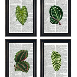 Set of Leaves Themed Prints, Leaf Themed Prints, Plant Themed Prints, Plant Art Prints, Plant Dictionary Prints