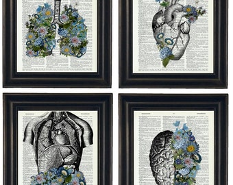 Anatomy Art, Anatomy Illustration with Flowers Set of Four A HHP Original Design Anatomy Art Dictionary Prints Anatomy Print Set, Botanical