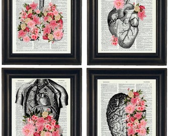 Anatomy Art Prints