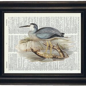 Heron Print, Heron Wall Art, Heron Wall Art, Water Bird Prints, Coastal Prints, Coastal Art, Cottage Art Prints, Waterfowl Prints, Bird Art