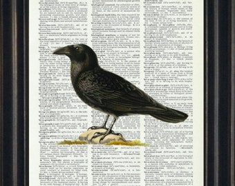 Raven Art Print, Crow Prints, Raven Art, Raven Art Prints, Black Bird Prints, Raven Wall Art
