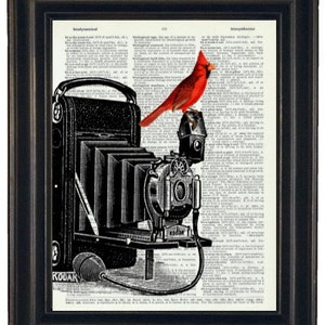 Camera and Cardinal Print, Cardinal Art Print, Camera Art, HHP Original, Camera Wall Art, Cardinal Print