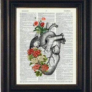 Anatomy Art Heart, Heart Illustration with Flowers  A HHP Original Design Anatomy Art  Prints, Anatomy Art Heart Print Botanical Prints