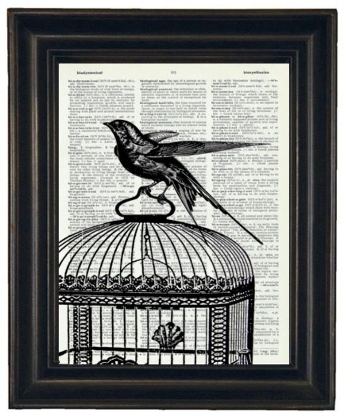 Blue Bird Print Dictionary Art Print Bird Dictionary Art Print Etsy