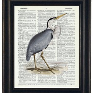Heron Print, Heron Wall Art, Heron Wall Art, Water Bird Prints, Coastal Prints, Coastal Art, Cottage Art Prints, Waterfowl Prints, Bird Art