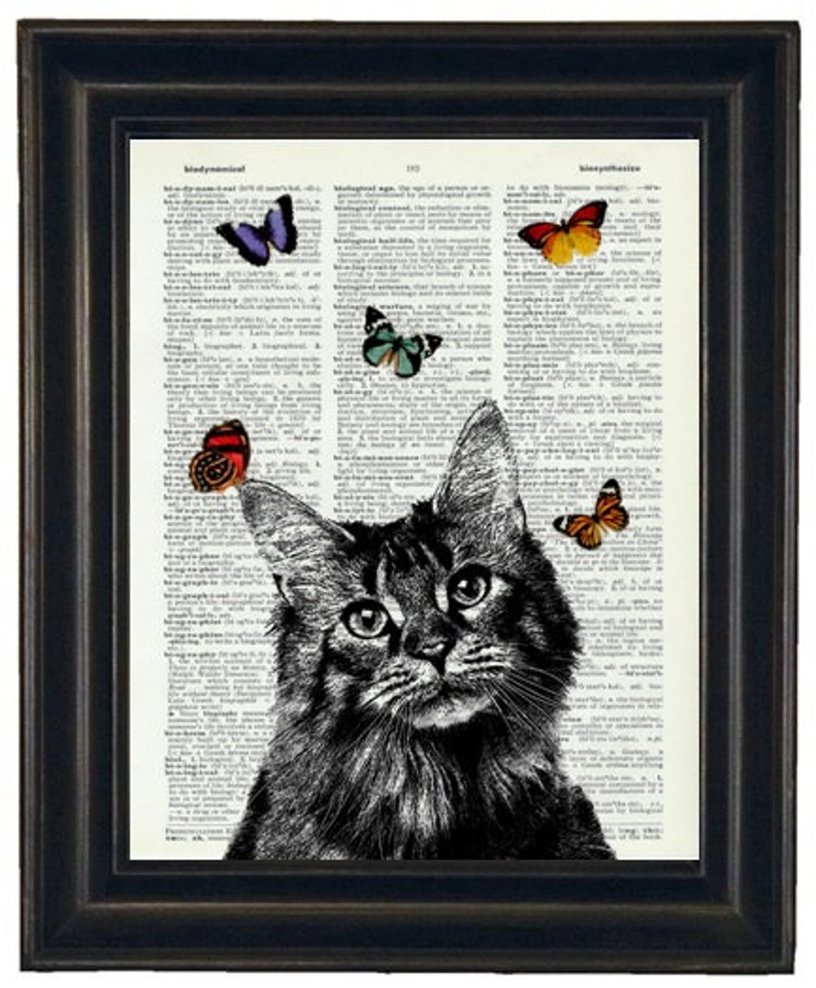 Cat Print Art Upcycled Art Book Print of Cat on Vintage Etsy