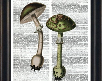 Mushroom Print, Mushroom Themed Print, Mushroom Dictionary Print, Mushroom Art Print