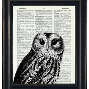 Owl Print Owl Art Print Owl Decor Owl Head Dictionary Book Page Print 8 x 10 Black image 1
